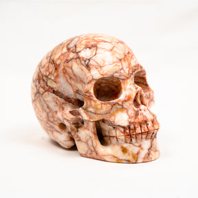 Red Vein Network Jasper Skull - Hand Carved 5" Large Crystal Skull