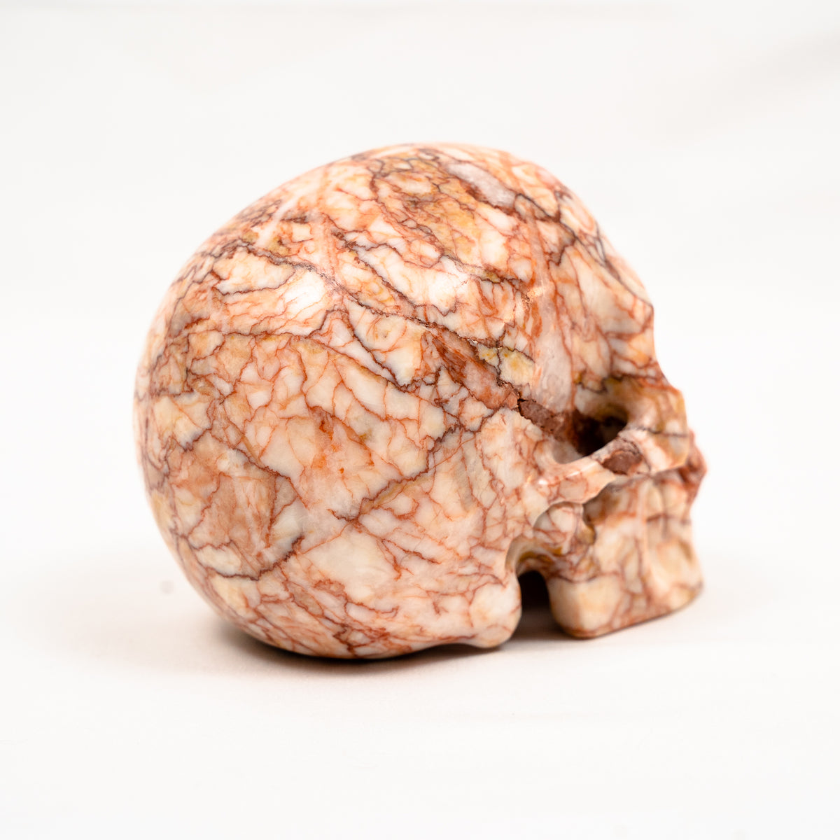 Red Vein Network Jasper Skull - Hand Carved 5" Large Crystal Skull