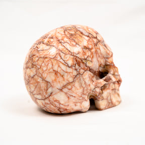 Red Vein Network Jasper Skull - Hand Carved 5" Large Crystal Skull