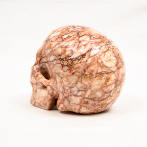 Red Vein Network Jasper Skull - Hand Carved 5" Large Crystal Skull