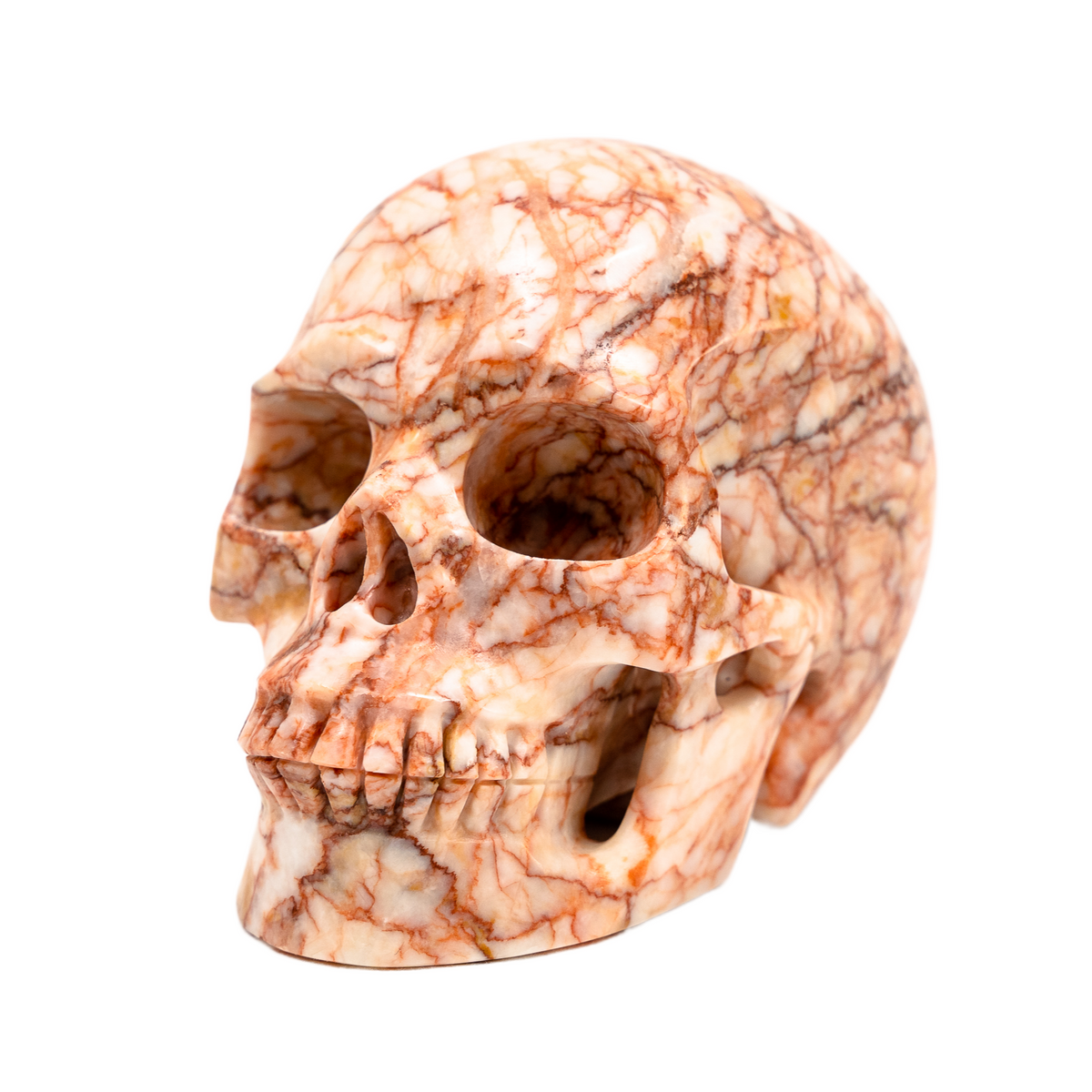 Red Vein Network Jasper Skull - Hand Carved 5" Large Crystal Skull