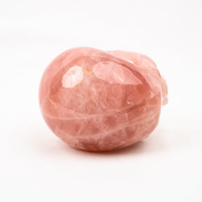 Rose Quartz Jawless Skull - Large 4.5" Hand Carved Crystal Skull