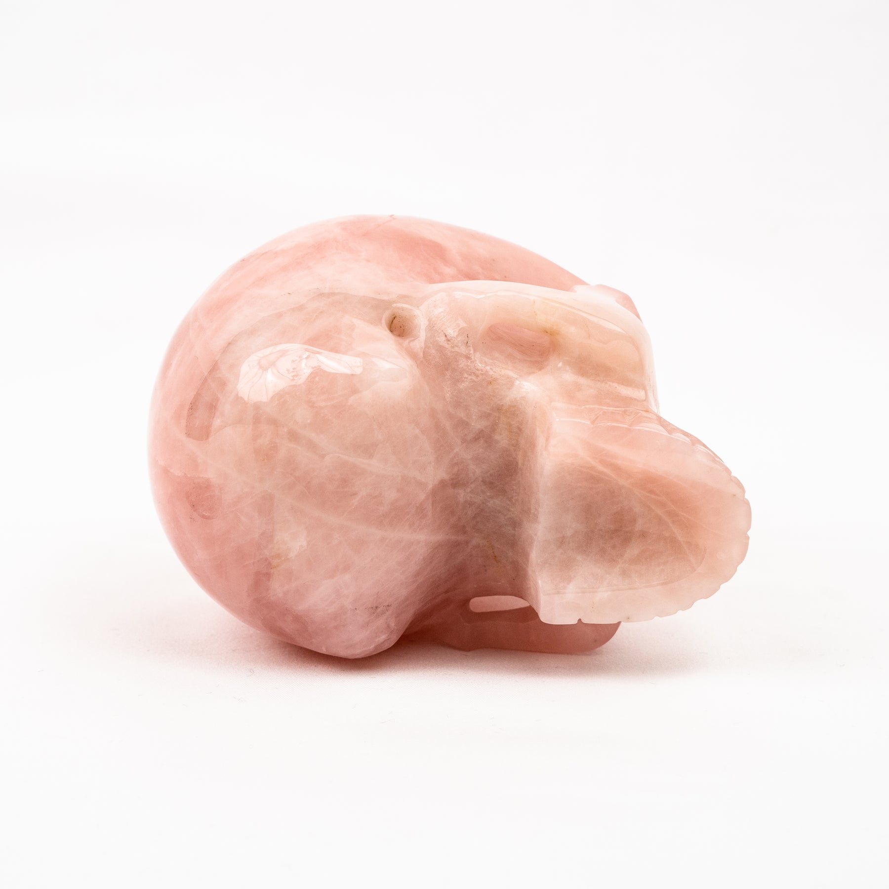 Rose Quartz Jawless Skull - Large 4.5" Hand Carved Crystal Skull