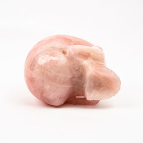Rose Quartz Jawless Skull - Large 4.5" Hand Carved Crystal Skull