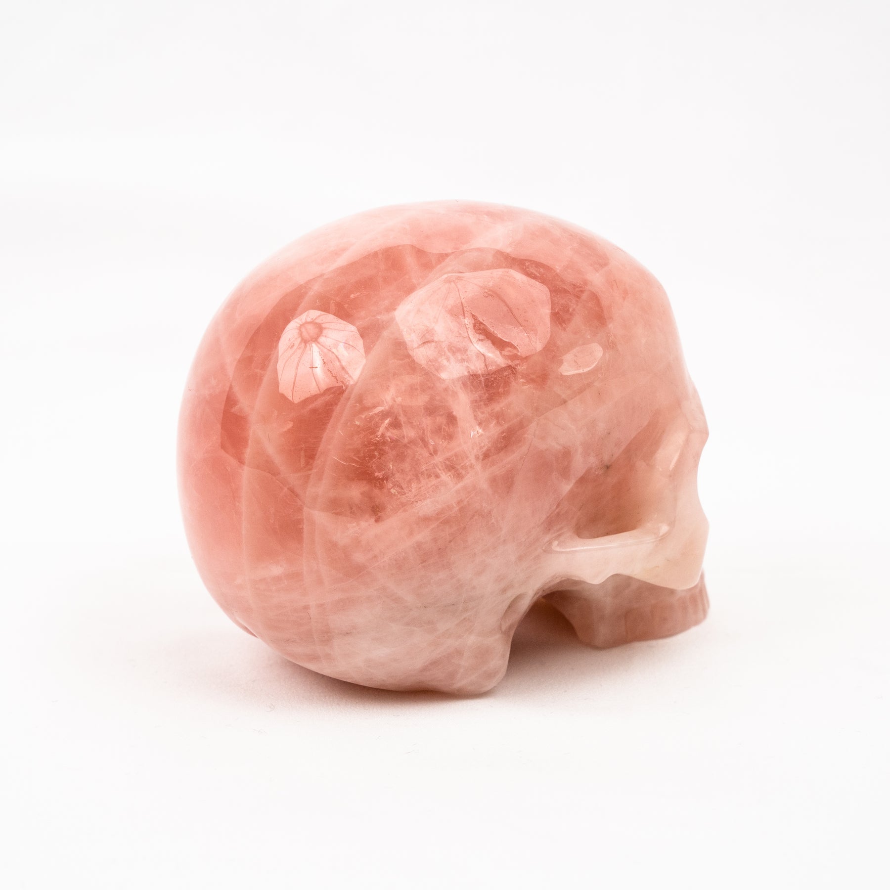Rose Quartz Jawless Skull - Large 4.5" Hand Carved Crystal Skull