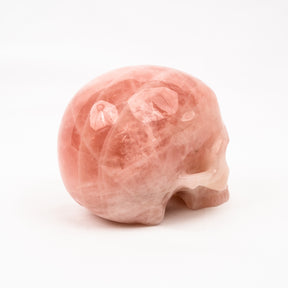 Rose Quartz Jawless Skull - Large 4.5" Hand Carved Crystal Skull