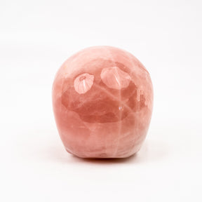Rose Quartz Jawless Skull - Large 4.5" Hand Carved Crystal Skull