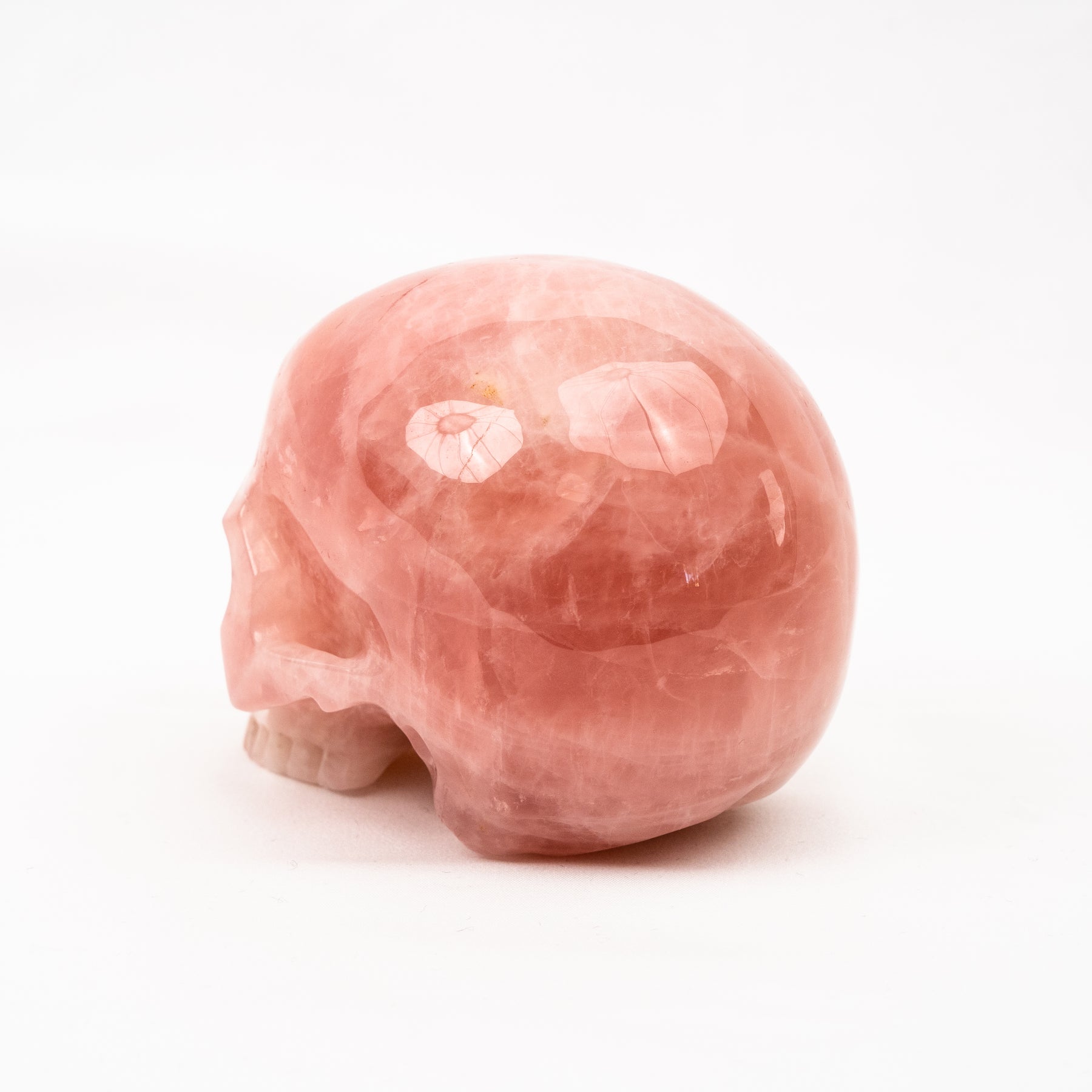 Rose Quartz Jawless Skull - Large 4.5" Hand Carved Crystal Skull