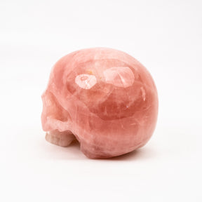 Rose Quartz Jawless Skull - Large 4.5" Hand Carved Crystal Skull