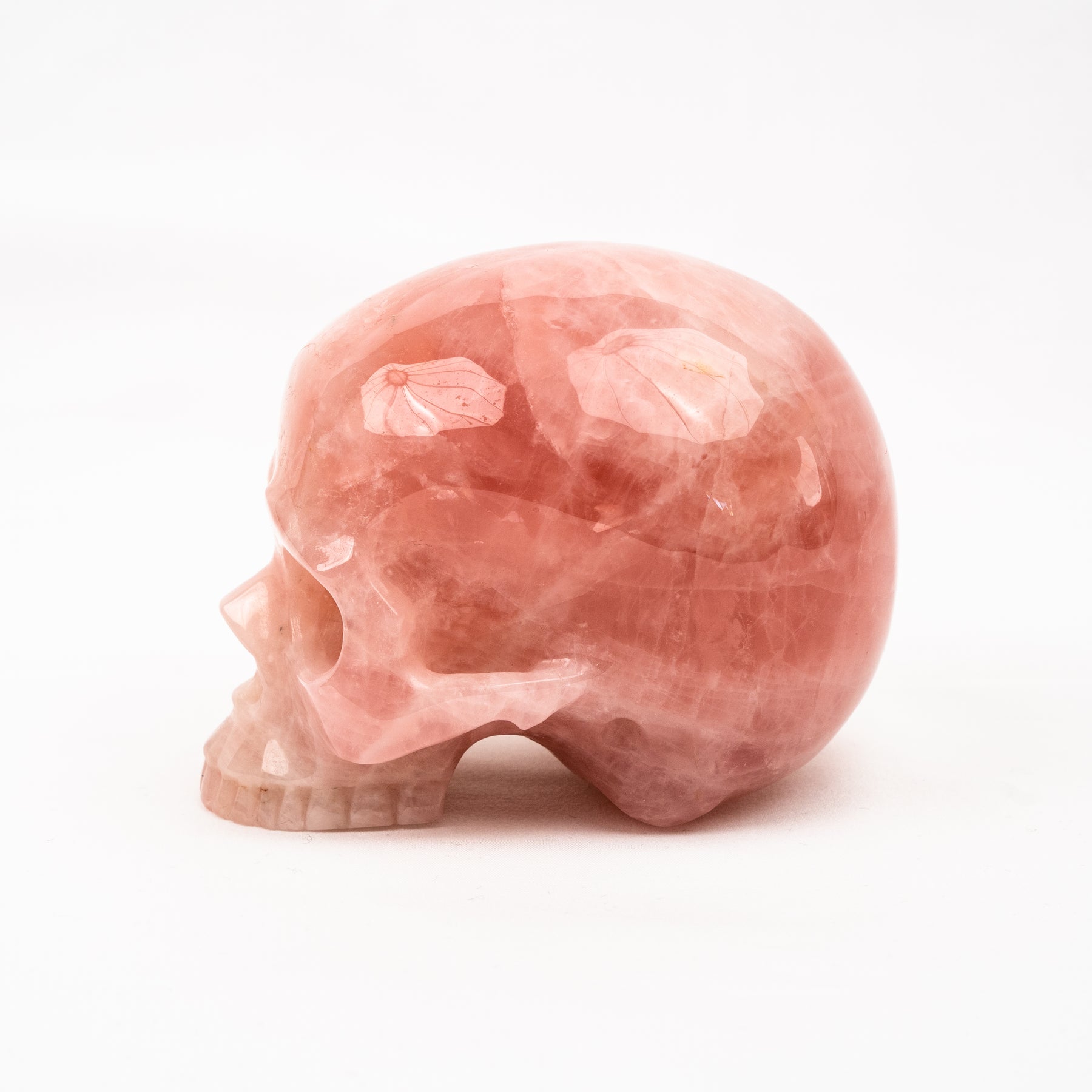 Rose Quartz Jawless Skull - Large 4.5" Hand Carved Crystal Skull