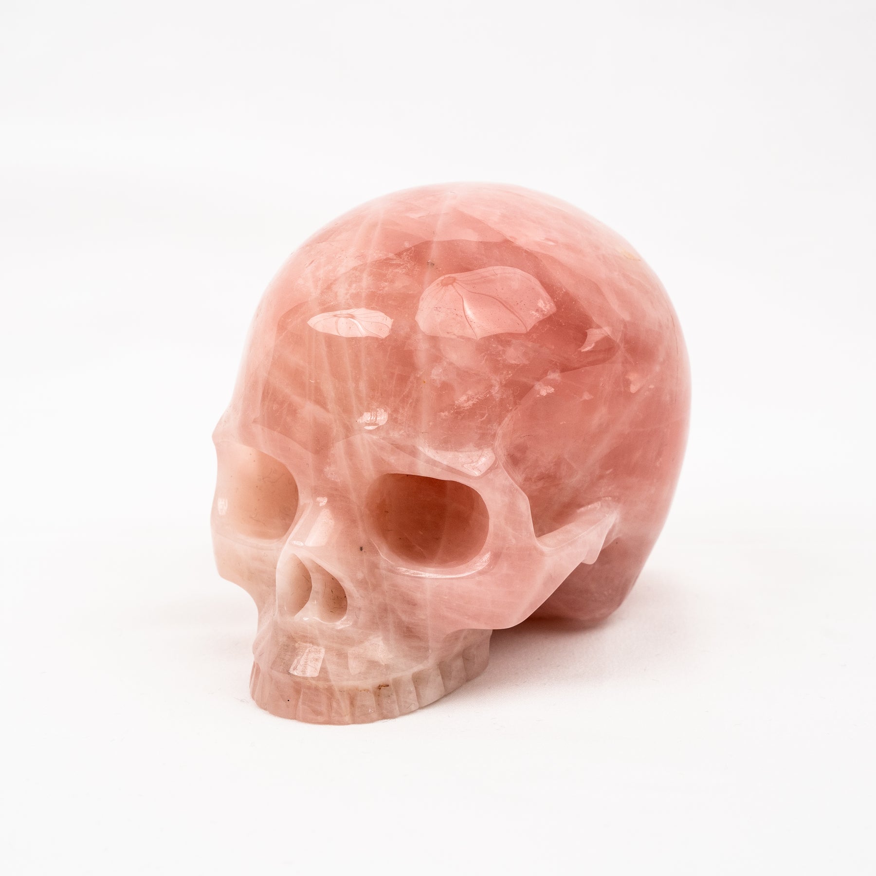 Rose Quartz Jawless Skull - Large 4.5" Hand Carved Crystal Skull