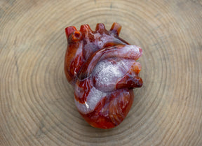 Carnelian 4.8" Anatomical Crystal Heart