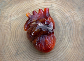 Carnelian 4.8" Anatomical Crystal Heart