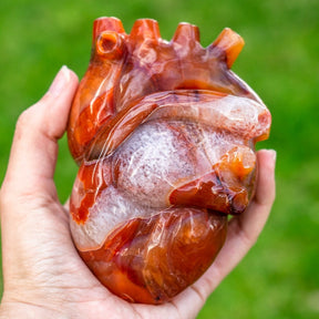 Carnelian 4.8" Anatomical Crystal Heart