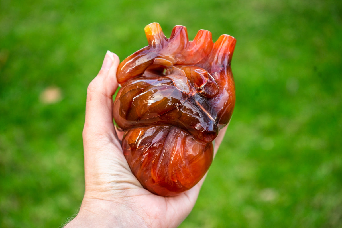 Carnelian 4.8" Anatomical Crystal Heart