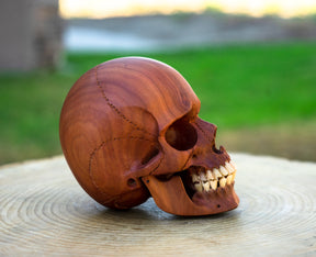 Red Wood 4.75" Skull