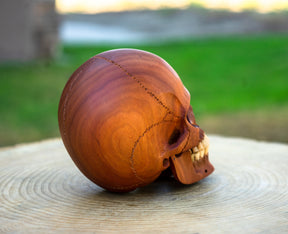 Red Wood 4.75" Skull