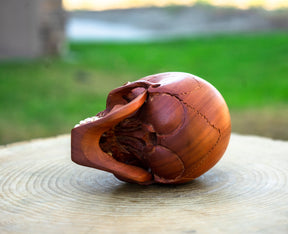 Red Wood 4.75" Skull