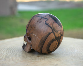 Black Ebony 4.5" Wood Skull