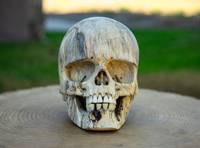 Tamarind 5" Life Size Wood Skull