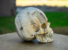 Tamarind 5" Life Size Wood Skull