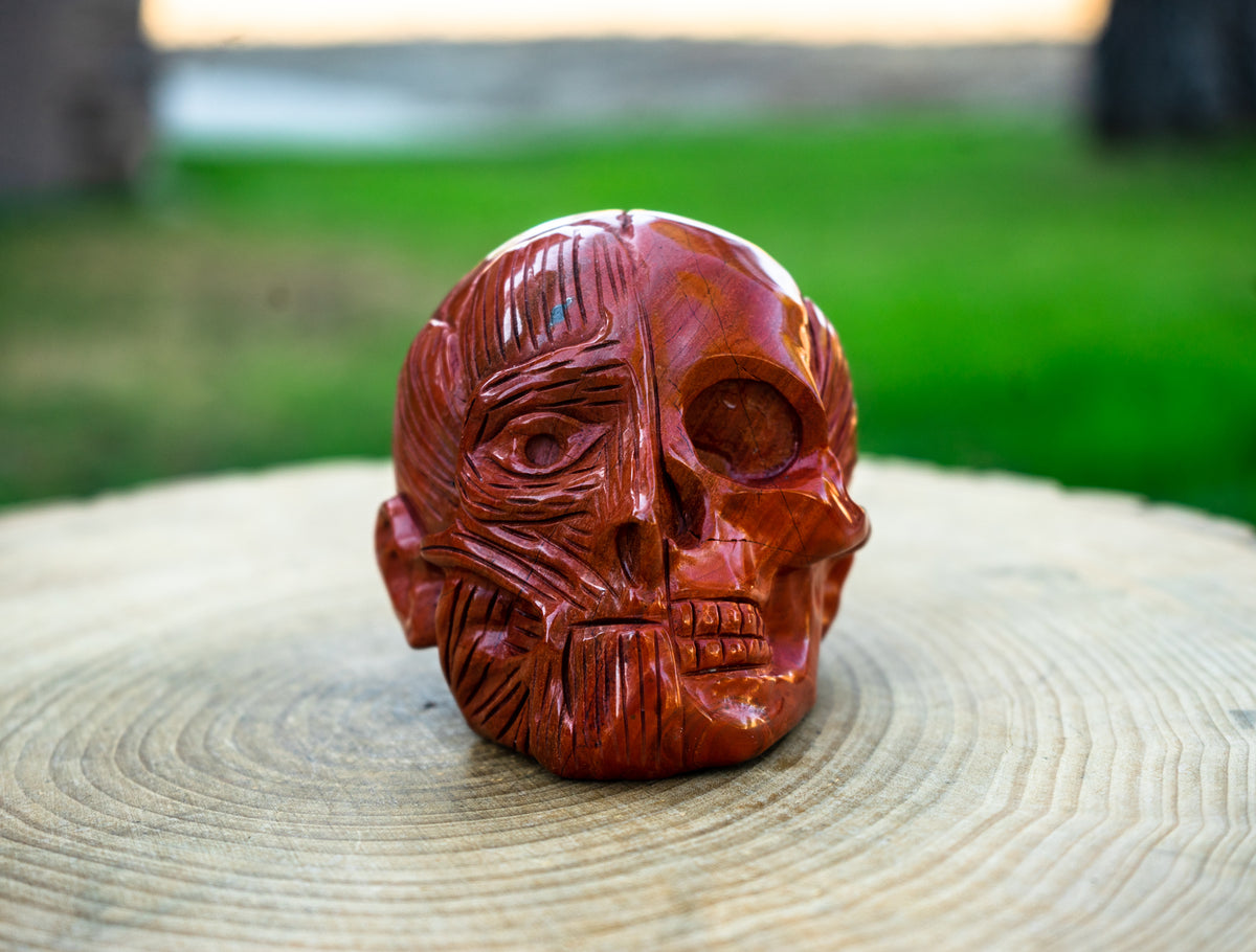 Red Jasper 4" Crystal Skull Titan