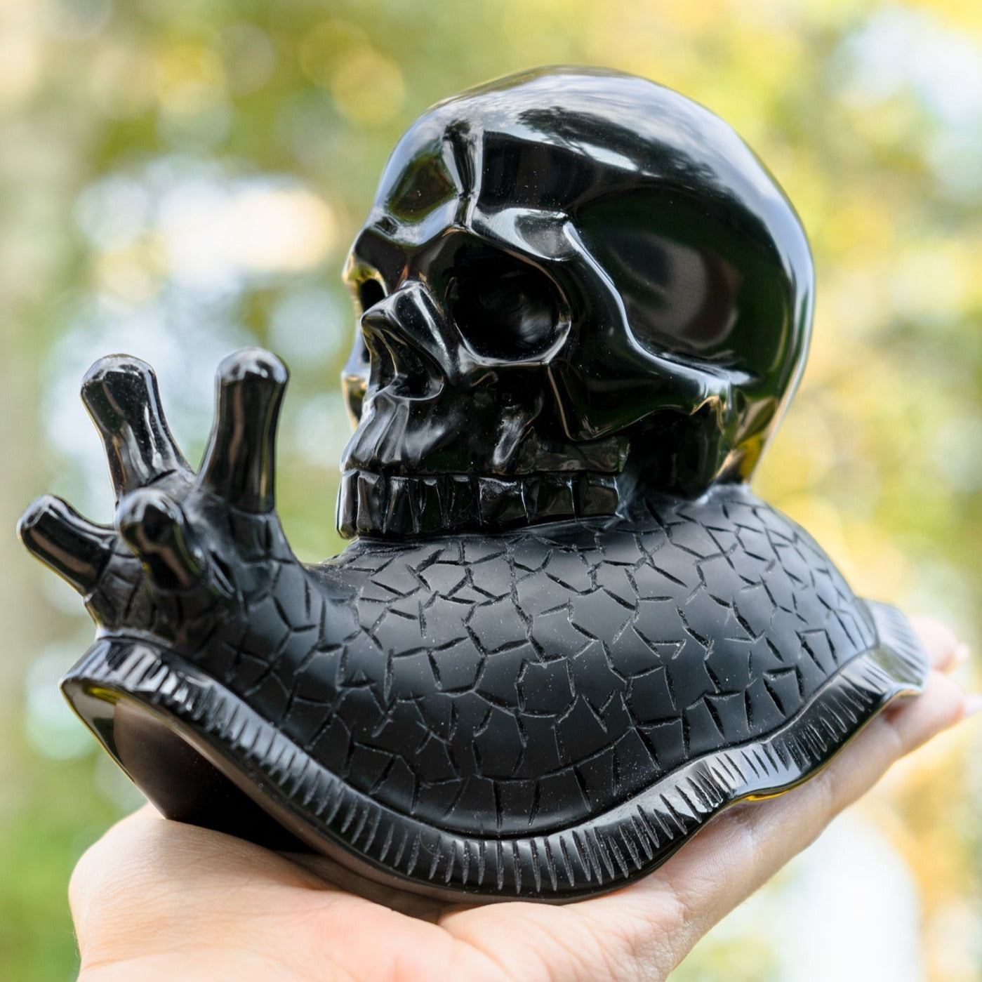 Black Obsidian 6" Crystal Skull Snail