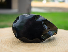 Black Obsidian 6" Crystal Skull Snail