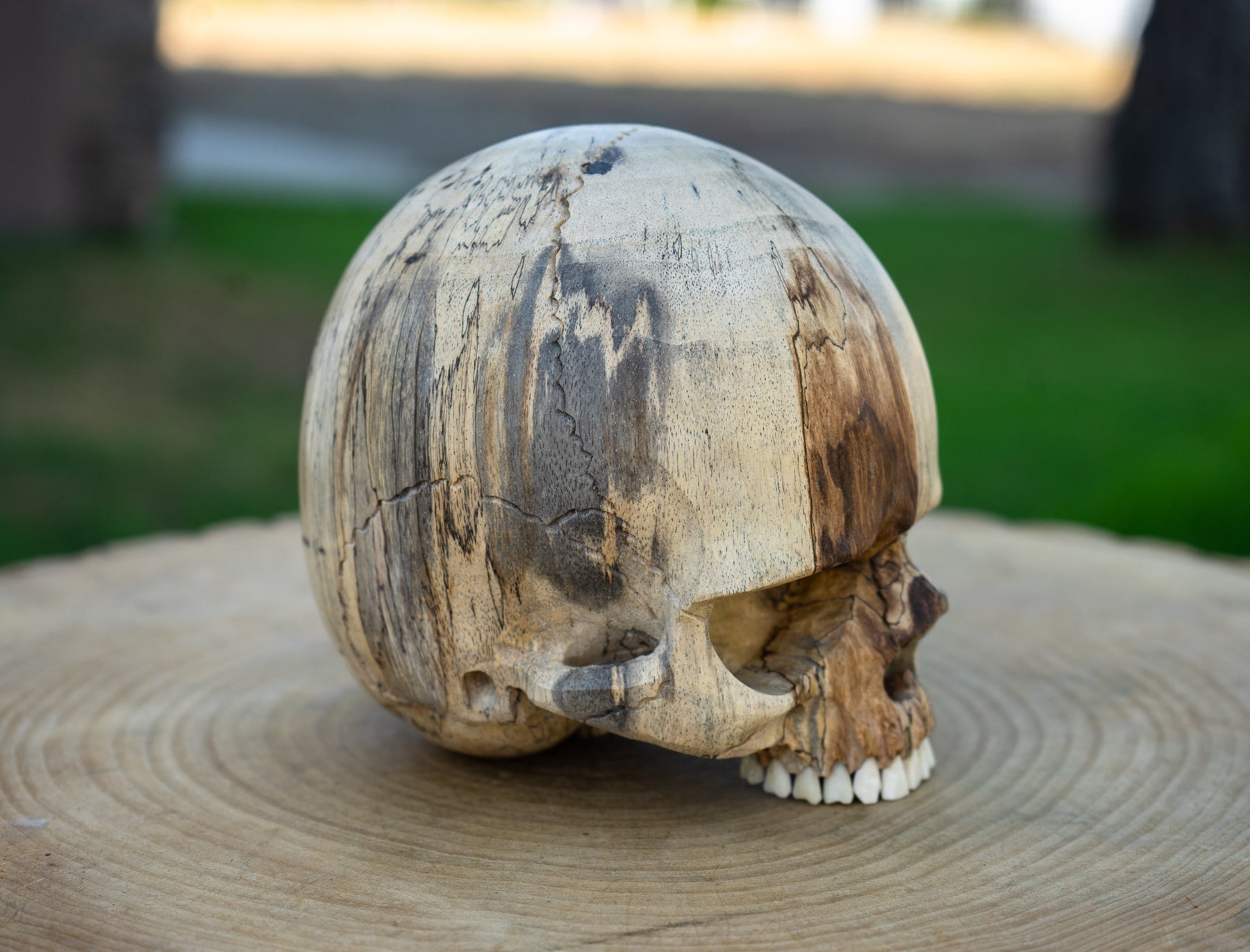 Tamarind Wood 5.5