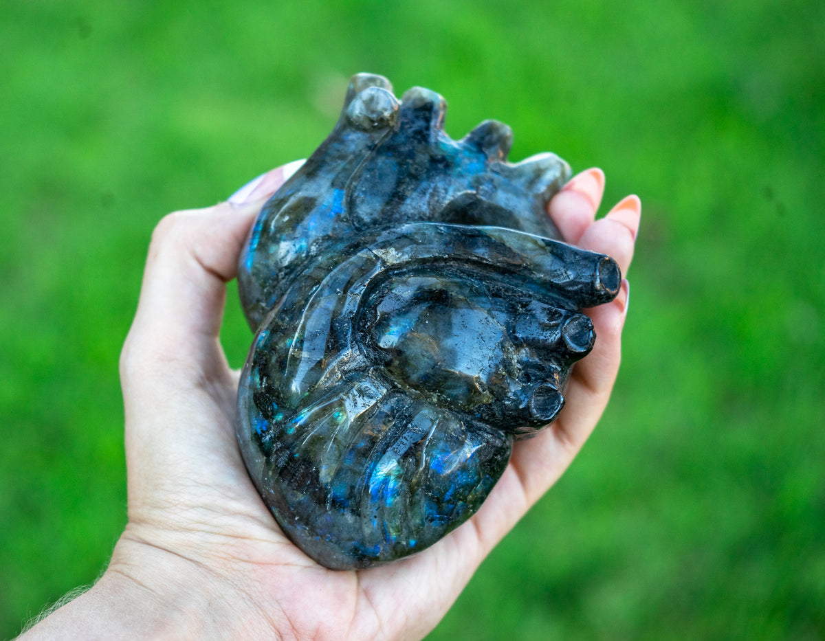 Labradorite 5" Anatomical Crystal Heart