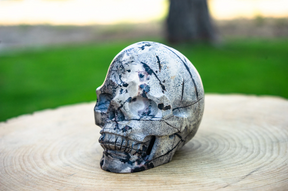 Dendritic Jasper 4.25" Crystal Skull