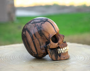 Black Ebony 4.5" Wood Skull