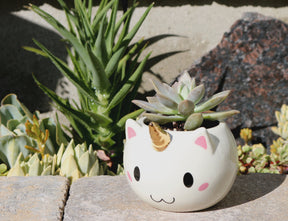 Imperfect Rainbow Caticorn Mug and Spoon Set