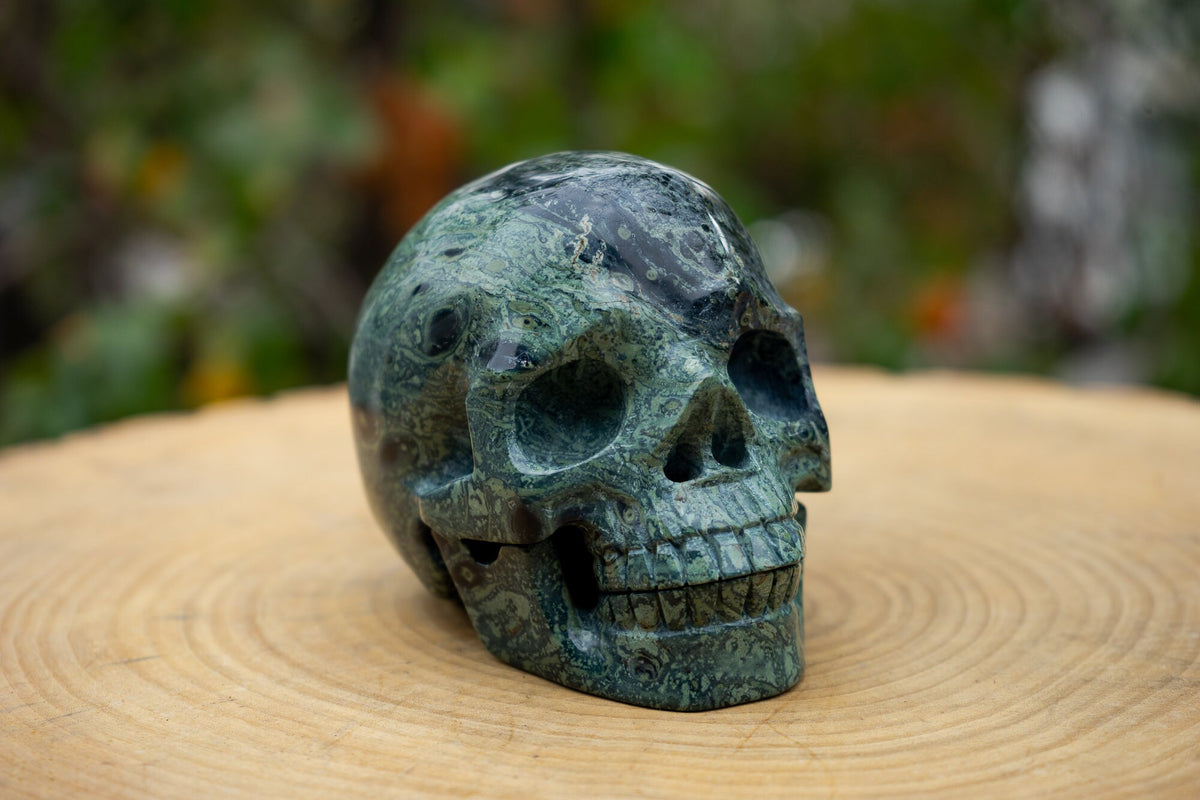 Kambaba Jasper 4.5" Crystal Skull