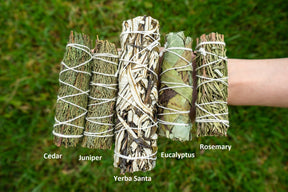 Sage Free Smudge Sticks - Arbor & Herb